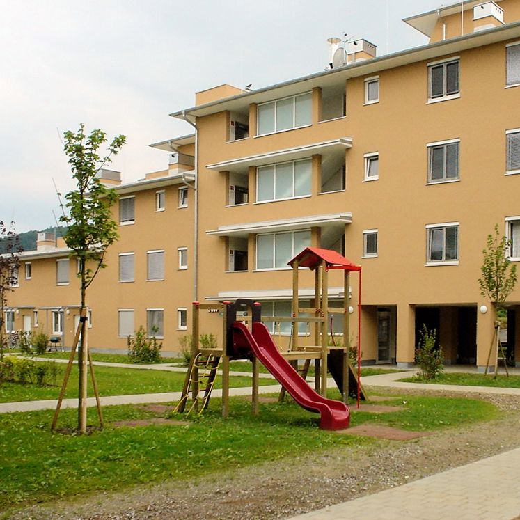 Intensive Dachbegrünung auf einer Tiefgarage - Gollner GmbH - Dachdeckerei, Spenglerei, Garten- und Landschaftsgestalter