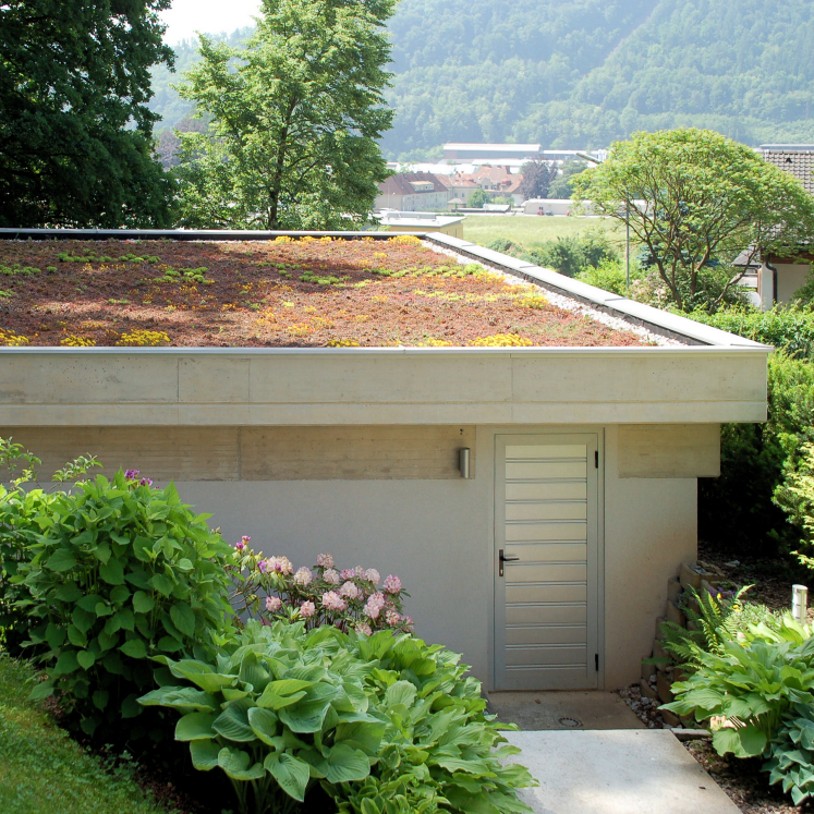 extensive Dachbegrünung auf einer Garage - Gollner GmbH - Dachdeckerei, Spenglerei, Garten- und Landschaftsgestalter